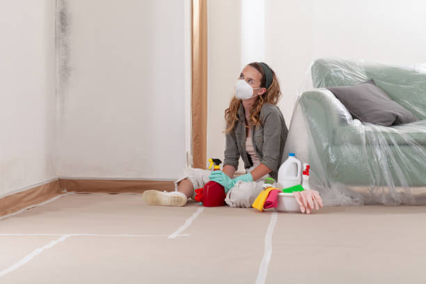 Reliable Mold Remediation contractor in Palmyra, NJ by WQB Mold Removal